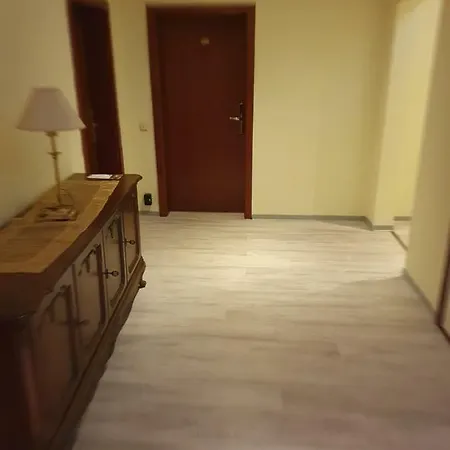 酒店 Hotel-events Adlerpalast 吕塞尔斯海姆