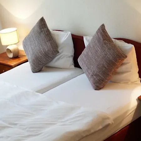 Hotel-events Adlerpalast 酒店 吕塞尔斯海姆